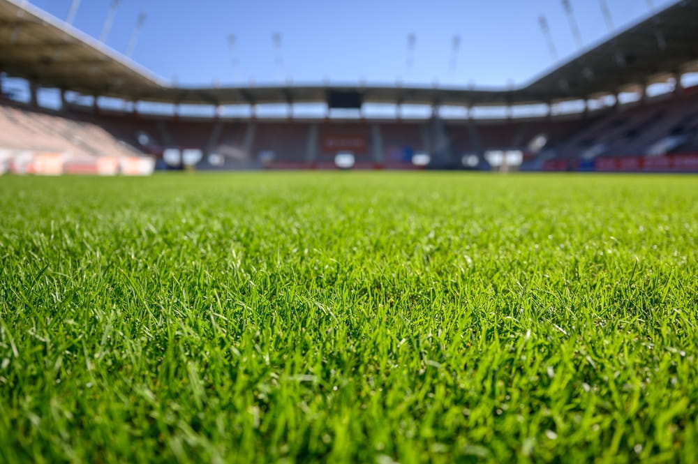 terrain de foot