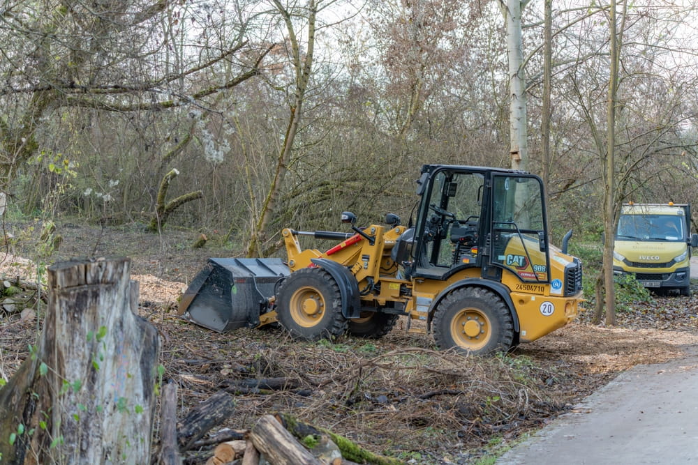 preparation terrain